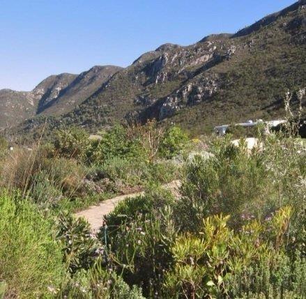 0 Bedroom Property for Sale in Hawston Western Cape